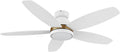 Carro 48' Ceiling Fan with Light Flush Mount, DC 10 Speeds Silent with Remote, 3 Light Colors Dimmable LED Ceiling Fan Low Profile for Living Room, White Gold