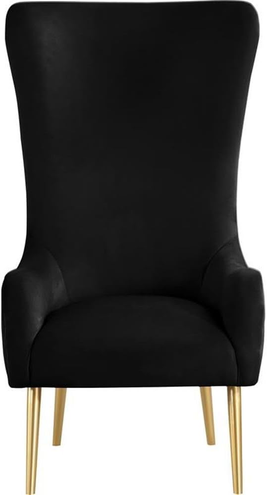 Meridian Furniture 536Black Alexander Collection Modern | Contemporary Velvet Upholstered Accent Chair with Sturdy Gold Metal Legs and Deep Button Tufting on Back, 27' W x 33' D x 51' H