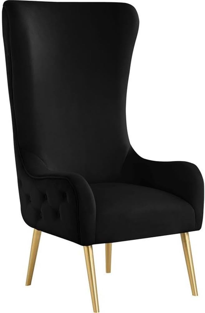 Meridian Furniture 536Black Alexander Collection Modern | Contemporary Velvet Upholstered Accent Chair with Sturdy Gold Metal Legs and Deep Button Tufting on Back, 27' W x 33' D x 51' H