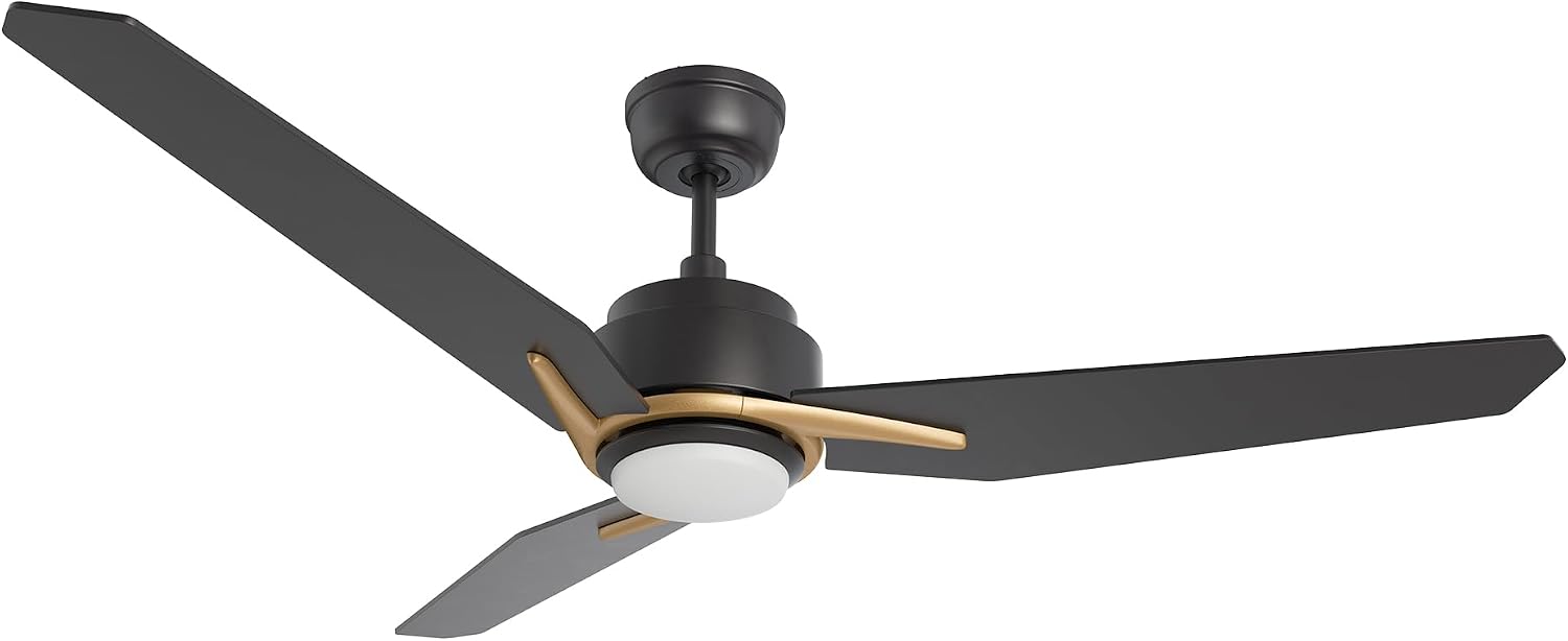 Carro Smart Ceiling Fans with Lights Flush Mount 56', 3 Light Colors Dimmable, 10 Speeds DC Ceiling Fan with Remote, Outdoor, Compatible with Alexa, Siri & Google Home, Black Gold