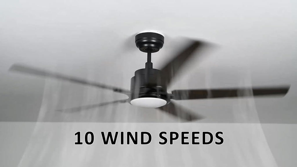 Carro 56' Smart Low Profile Ceiling Fan With Lights, 10 Speeds Silent DC Motor, Farmhouse Ceiling Fan Compatible with Alexa, Siri, Google & Smart App, Indoor & Outdoor, Dark Walnut