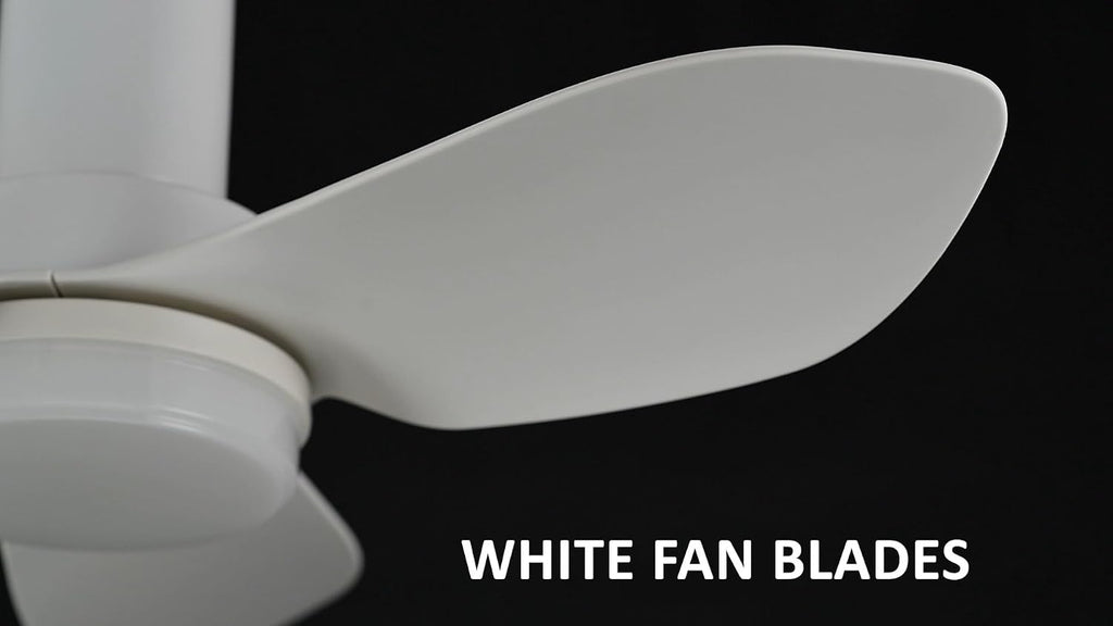 Carro 36' Low Profile Ceiling Fan with Light and Remote, Small Flush Mount Ceiling Fan with 10-speed DC Motor, Indoor & Outdoor, for Bedroom, Living room, White