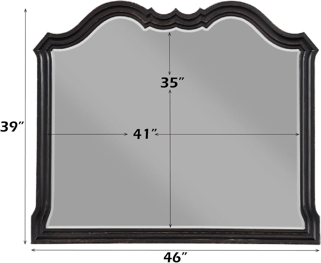 Acme Chelmsford Contemporary Wooden Frame Dresser Mirror in Antique Black