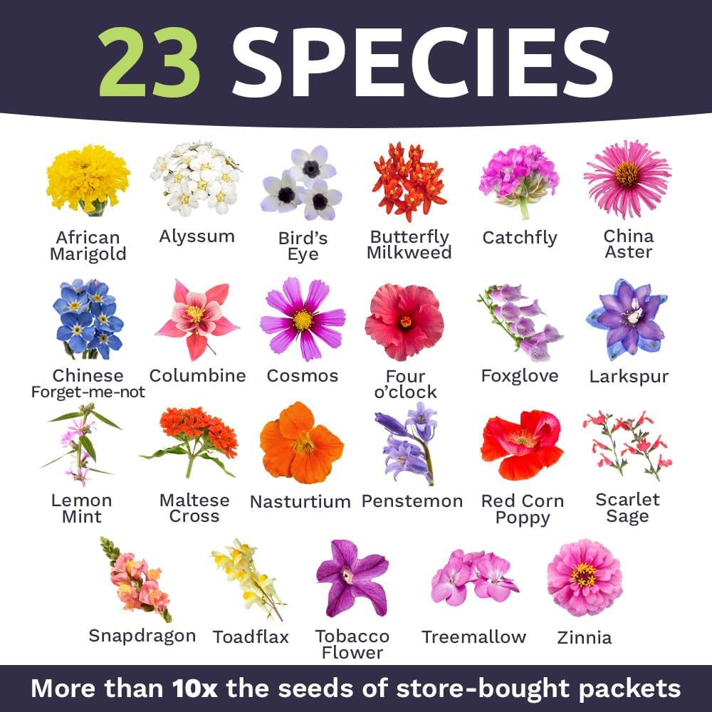 Bulk Wildflower Seeds Butterfly and Humming Bird Mix - 5 Pounds - Over 600,000 Open Pollinated Annual and Perennial Seeds