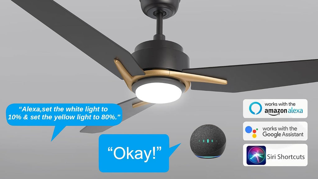 Carro Smart Ceiling Fans with Lights Flush Mount 56', 3 Light Colors Dimmable, 10 Speeds DC Ceiling Fan with Remote, Outdoor, Compatible with Alexa, Siri & Google Home, Black Gold