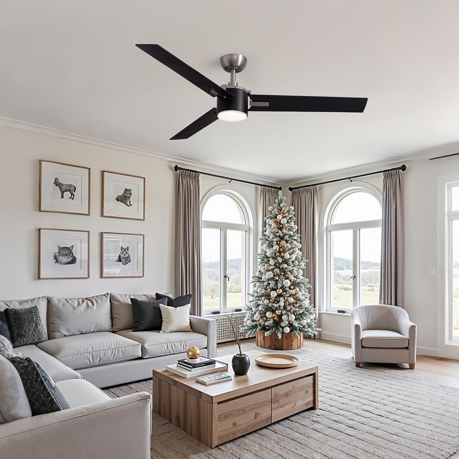 56 Inch Black Ceiling Fans with Lights, Reversible Quiet DC Motor, Modern Ceiling Fan with Light and Remote, Indoor/Outdoor Use