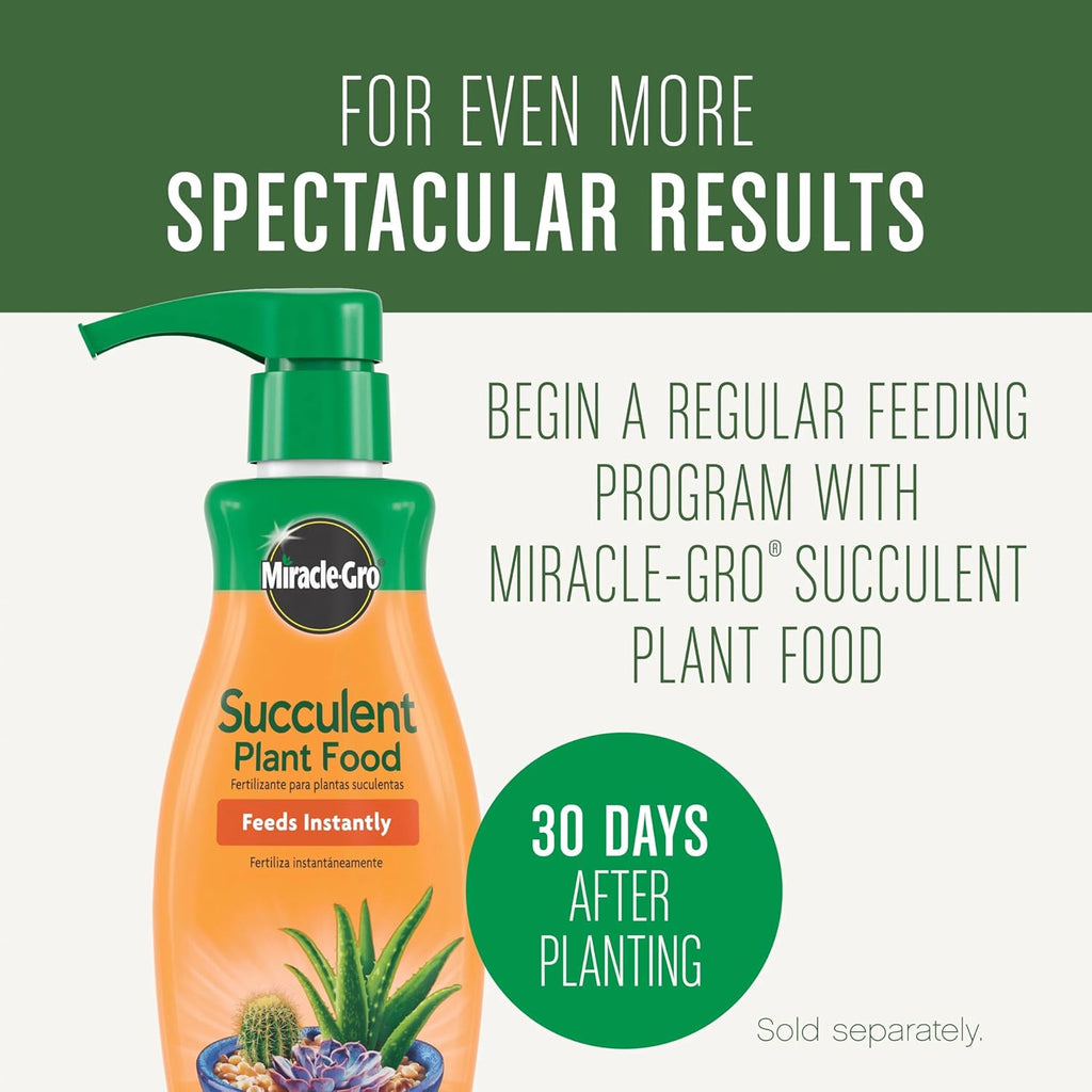 Miracle-Gro Succulent Potting Mix - Potting Soil Mix for Indoor Succulents, Aloe Vera and More, Made with Miracle-Gro Plant Food, 4 qt. (Pack of 10)
