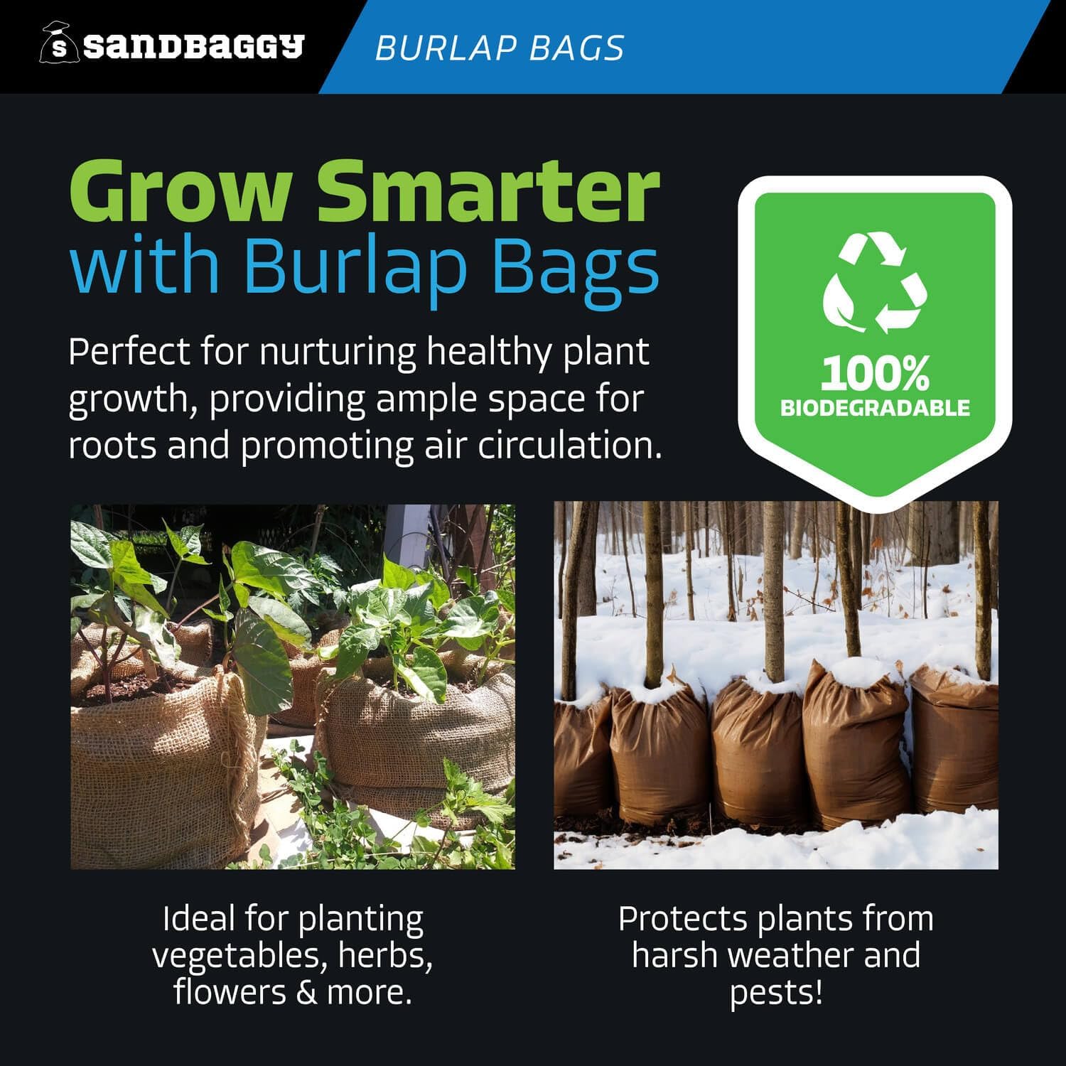 Sandbaggy Burlap Bags Large 24' x 40' - Potato Sack Race Bags for Kids & Adults | Perfect Birthday Party Game | Shrub & Plant Frost Protection - Food Grade (Pack of 100)