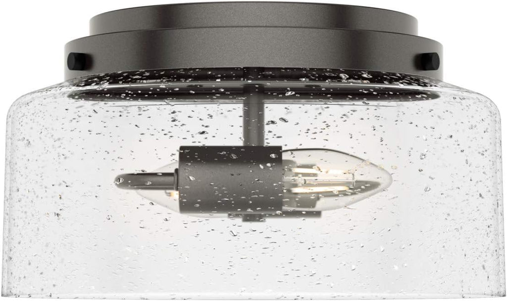 Hunter Fan Company 19015 Hartland Flush Mount Light, Noble Bronze