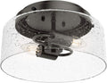 Hunter Fan Company 19015 Hartland Flush Mount Light, Noble Bronze
