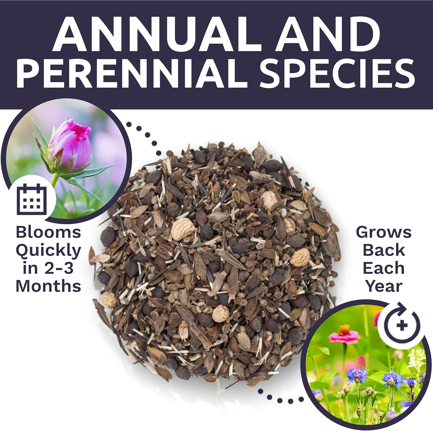 Bulk Wildflower Seeds Butterfly and Humming Bird Mix - 5 Pounds - Over 600,000 Open Pollinated Annual and Perennial Seeds