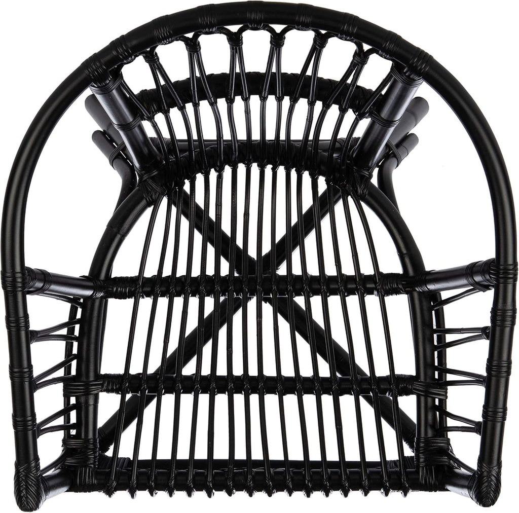 Safavieh Home Adriana Coastal Black Rattan (Set of 2) Accent Chair (ACH6505A-SET2)