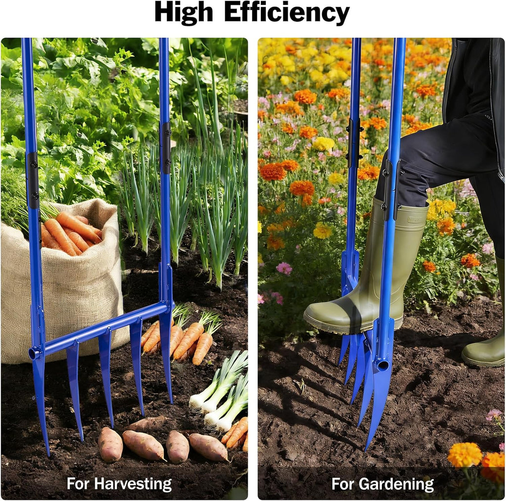 56'' Heavy Duty Broadfork for All the Soils, Unbreakable Design Pitchfork, 5 Sharp and Cambered 11'' Tines Bord Fork Garden Tool, Ergonomic Handles, Good Package, Easy Assembly, Blue.