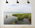 Trykid 20x10ft Tranquil Lake Green Reed Backdrop Serene Water Natural Scenery Photography Background Wedding Bridal Shower Birthday Camping Tapestry Party Decoration Photo Studio Prop Fabric