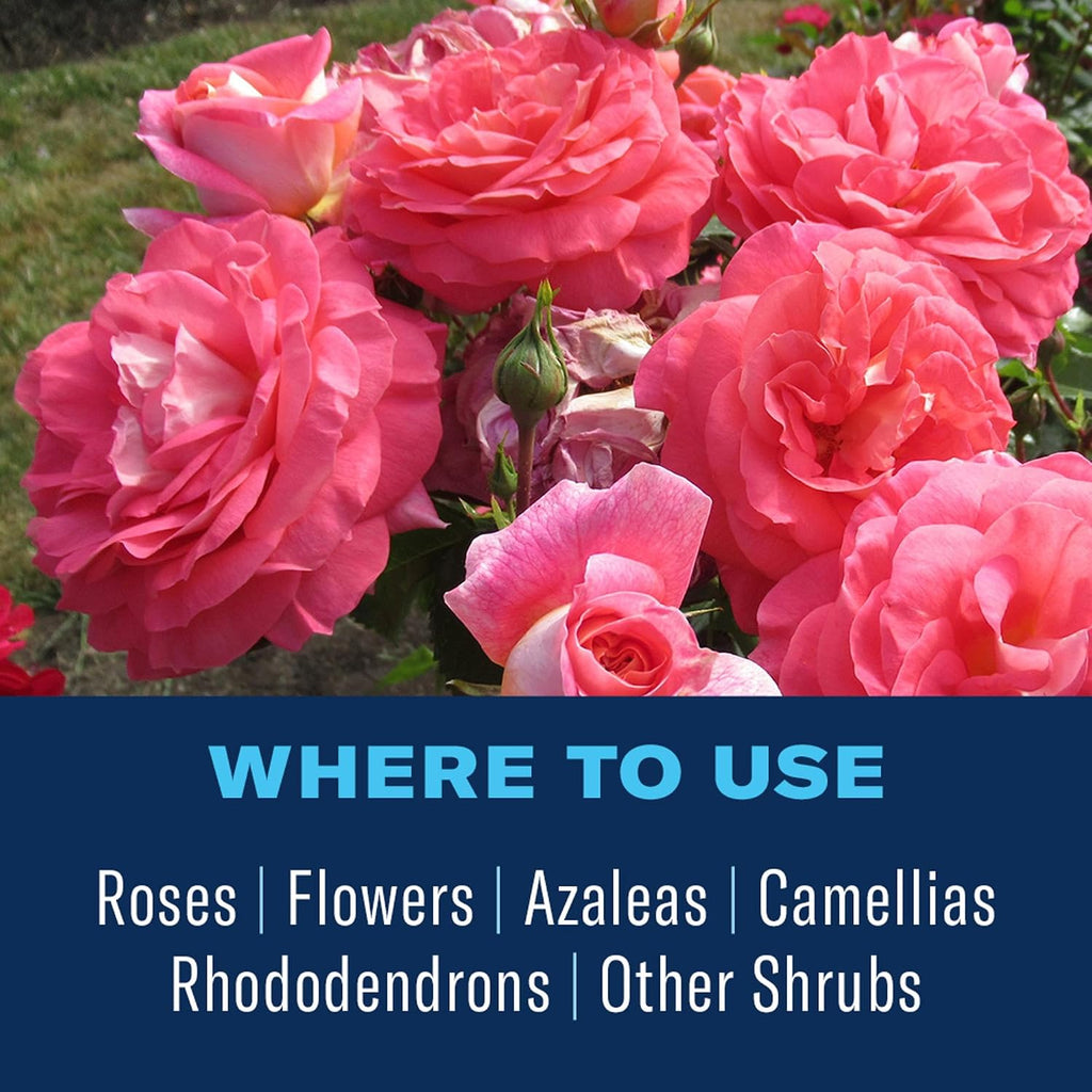 BioAdvanced All-in-One Rose and Flower Care I, Granules, 4 lb (Pack of 6)