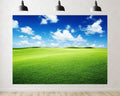 Trykid 20x10ft Lush Green Prairie Backdrop Bright Blue Sky Fluffy Cloud Photography Background Outdoor Camping Nature Shoot Tapestry Party Decoration Photo Studio Prop Fabric