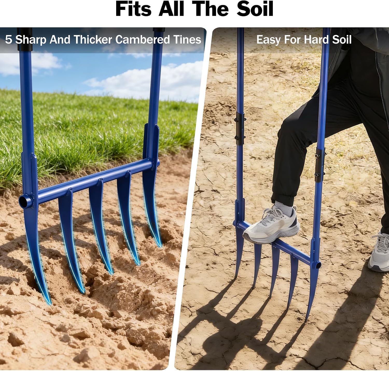 56'' Heavy Duty Broadfork for All the Soils, Unbreakable Design Pitchfork, 5 Sharp and Cambered 11'' Tines Bord Fork Garden Tool, Ergonomic Handles, Good Package, Easy Assembly, Blue.