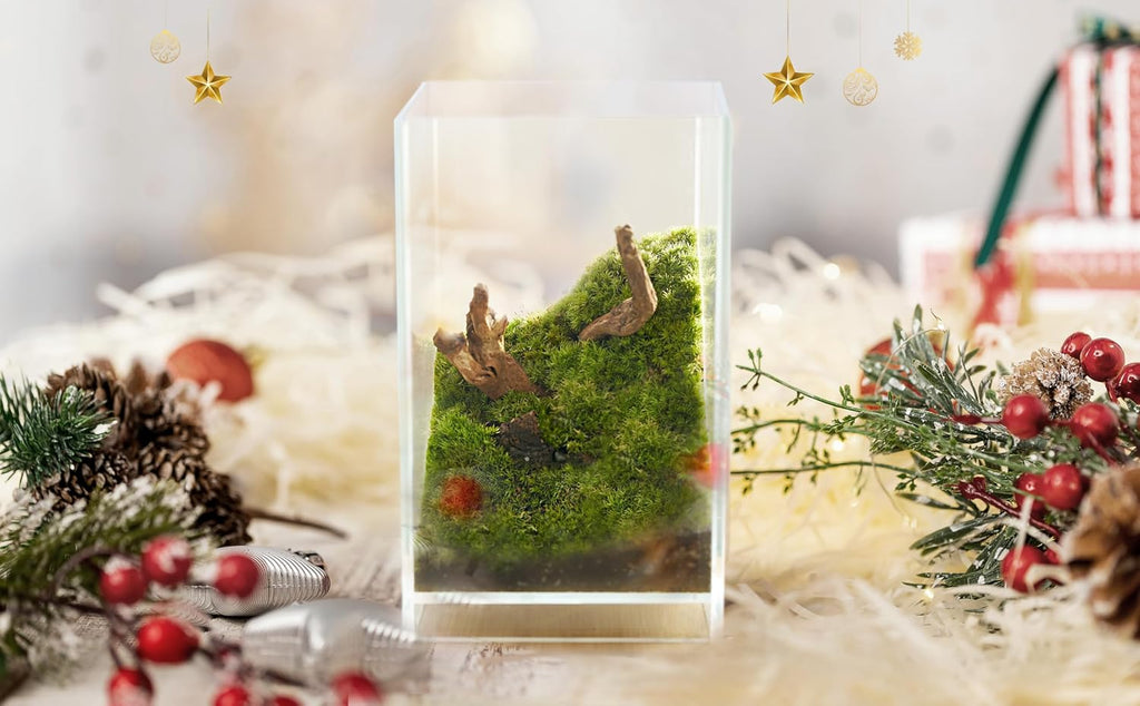 27 PCS Glass Plant Terrarium Kit with LED Grow Light– DIY Moss Terrarium Kit for Adults, Mini Garden Set for Succulent, Real Live Moss, and Air Plants – Home Office Decoration & Unique Gift fo Friend