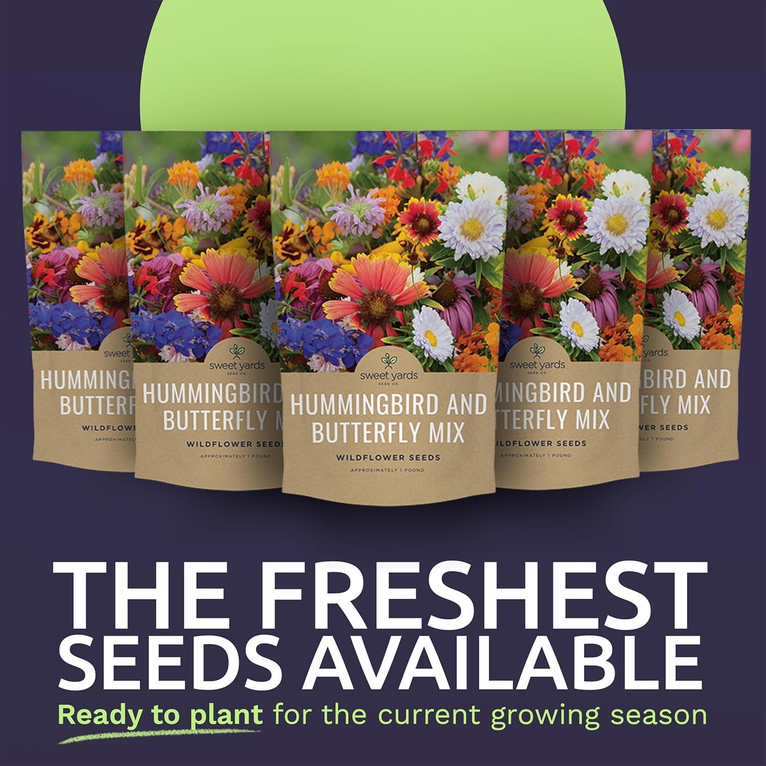 Bulk Wildflower Seeds Butterfly and Humming Bird Mix - 5 Pounds - Over 600,000 Open Pollinated Annual and Perennial Seeds