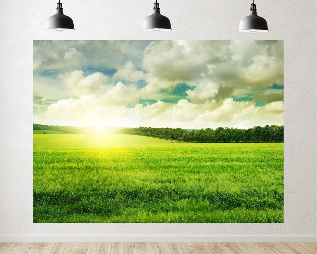Trykid 20x10ft Green Field Sunrise Backdrop Bright Sky Lush Grass Photography Background Outdoor Camping Nature Tour Tapestry Party Decoration Photo Studio Prop Fabric