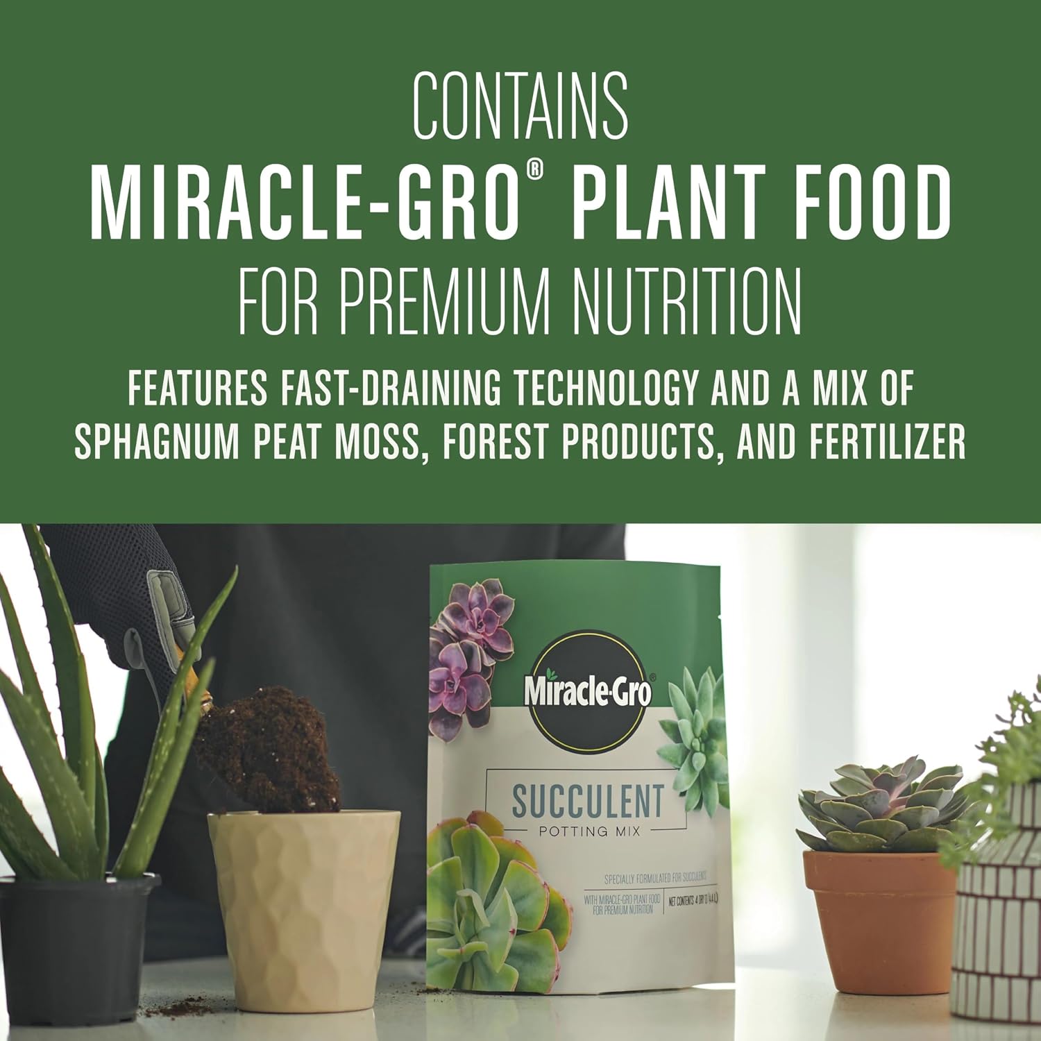Miracle-Gro Succulent Potting Mix - Potting Soil Mix for Indoor Succulents, Aloe Vera and More, Made with Miracle-Gro Plant Food, 4 qt. (Pack of 10)