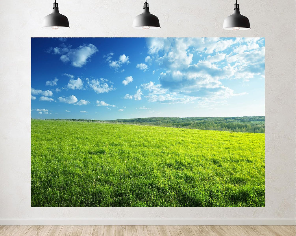 Trykid 20x10ft Bright Green Plain Cloud Backdrop Vast Meadow Clear Sky Photography Background Outdoor Camping Nature Tour Tapestry Party Decoration Photo Studio Prop Fabric