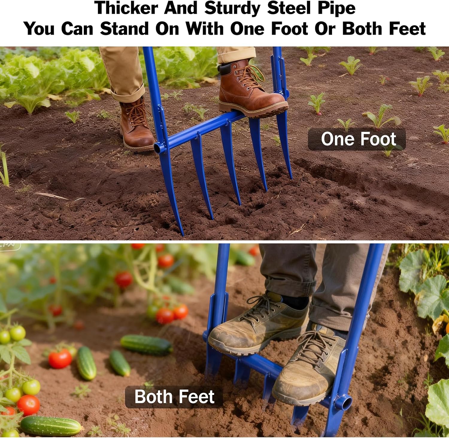 56'' Heavy Duty Broadfork for All the Soils, Unbreakable Design Pitchfork, 5 Sharp and Cambered 11'' Tines Bord Fork Garden Tool, Ergonomic Handles, Good Package, Easy Assembly, Blue.