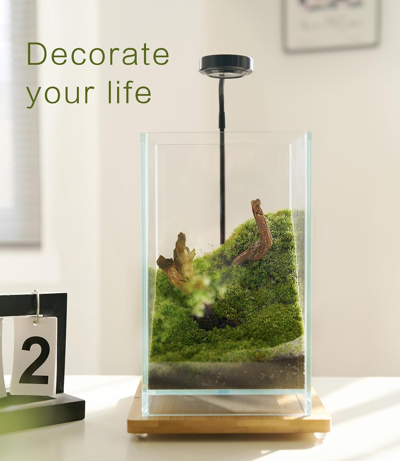 27 PCS Glass Plant Terrarium Kit with LED Grow Light– DIY Moss Terrarium Kit for Adults, Mini Garden Set for Succulent, Real Live Moss, and Air Plants – Home Office Decoration & Unique Gift fo Friend