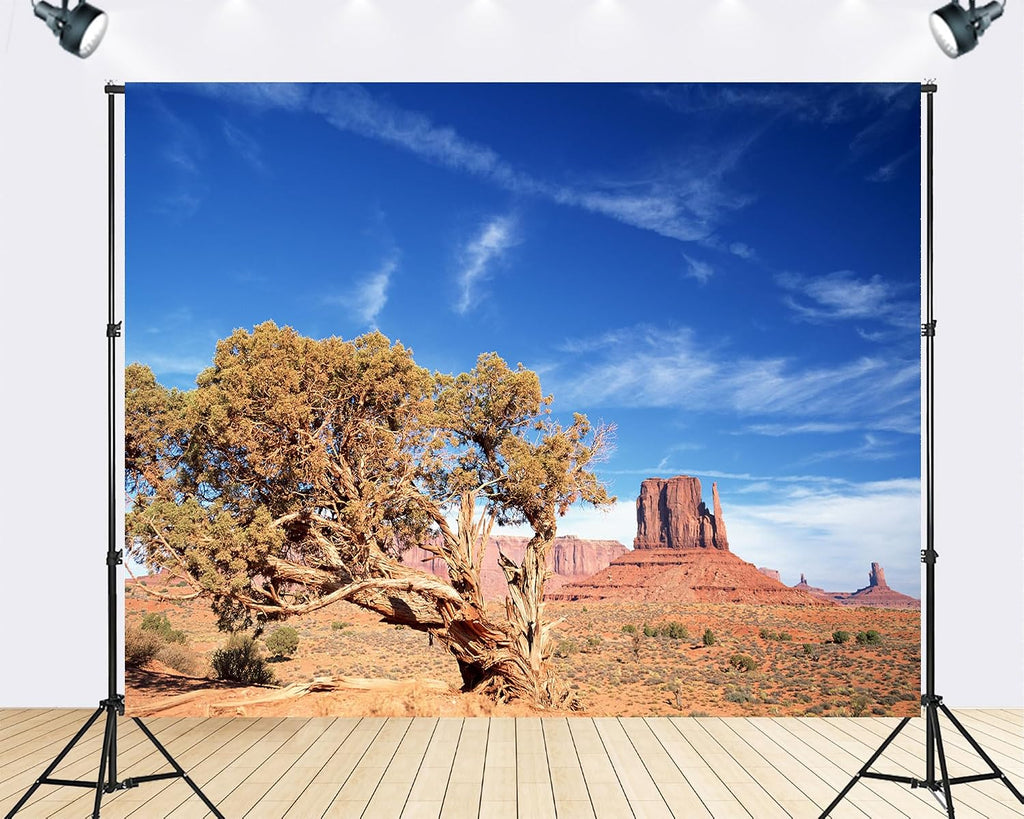 Trykid 20x10ft Monument Valley Desert Landscape Backdrop Wild West Blue Sky Red Rock Formation Tree Photography Background for Hiking Camping Birthday Party Decoration Tapestry Prop Fabric