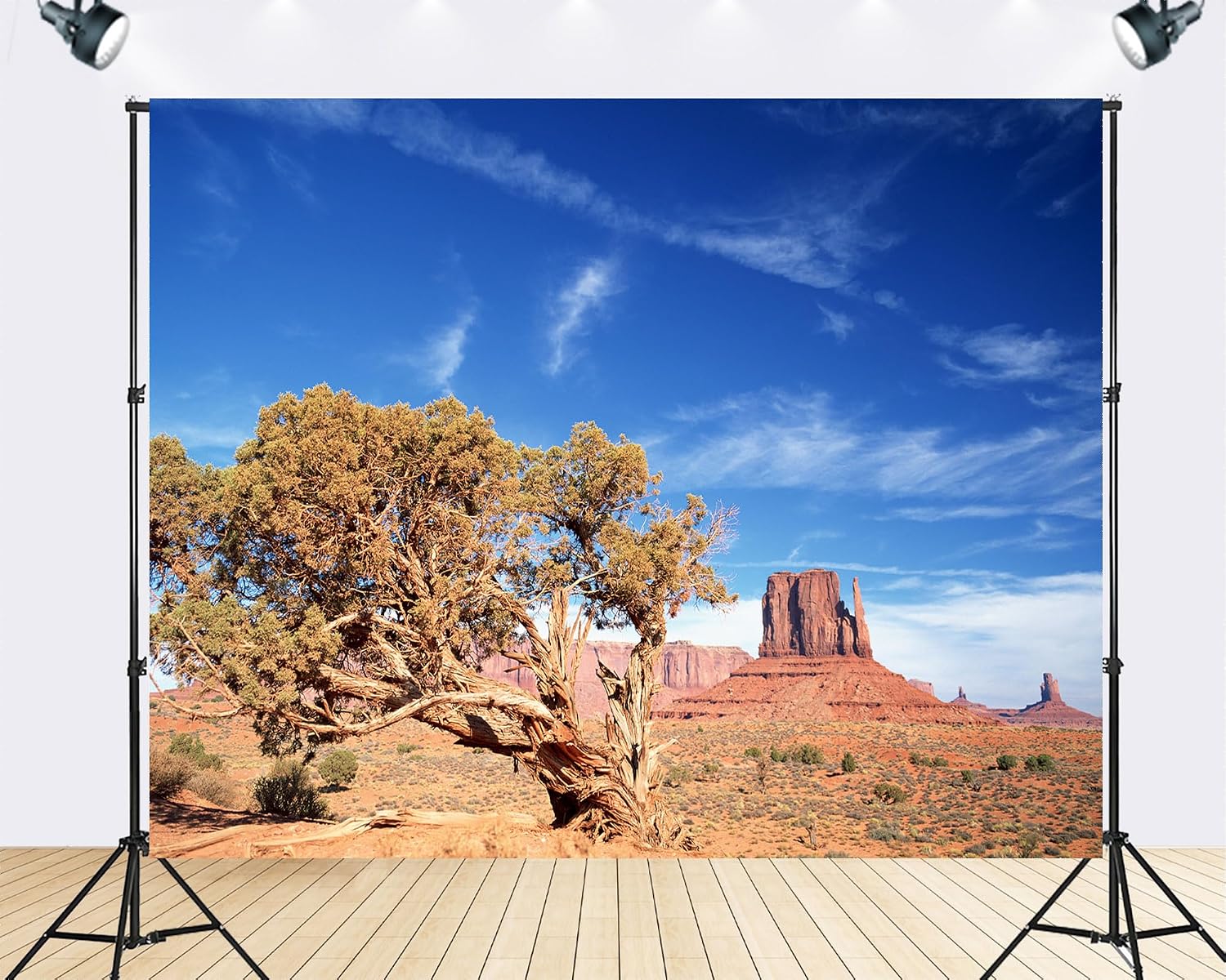 Trykid 20x10ft Monument Valley Desert Landscape Backdrop Wild West Blue Sky Red Rock Formation Tree Photography Background for Hiking Camping Birthday Party Decoration Tapestry Prop Fabric