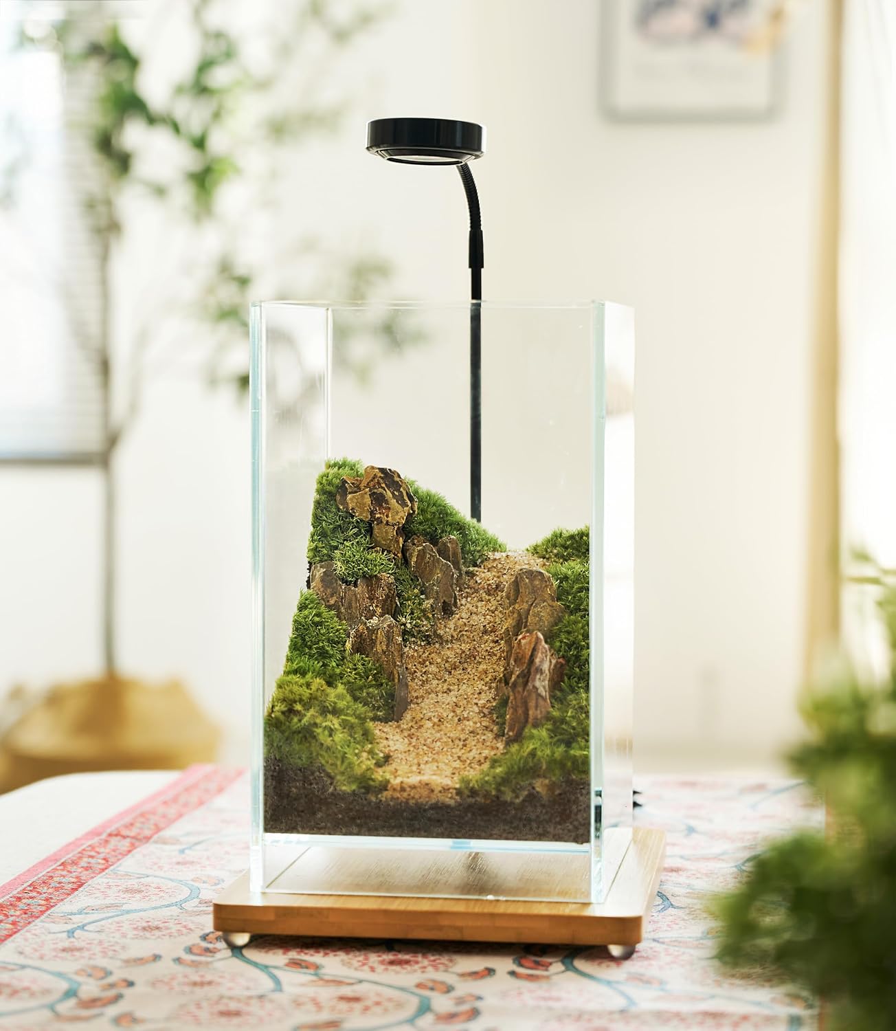 27 PCS Glass Plant Terrarium Kit with LED Grow Light– DIY Moss Terrarium Kit for Adults, Mini Garden Set for Succulent, Real Live Moss, and Air Plants – Home Office Decoration & Unique Gift fo Friend