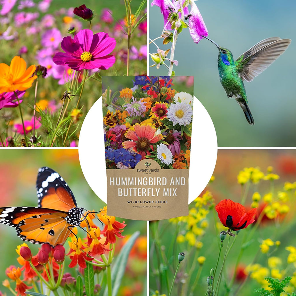 Bulk Wildflower Seeds Butterfly and Humming Bird Mix - 5 Pounds - Over 600,000 Open Pollinated Annual and Perennial Seeds