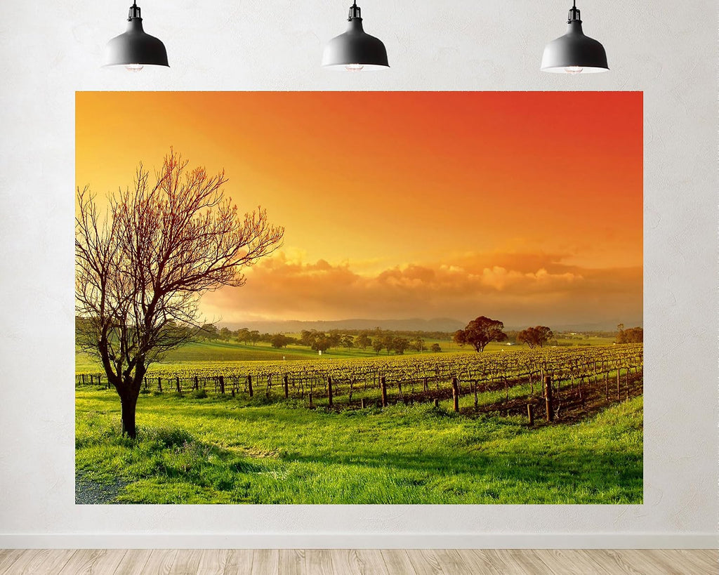 Trykid 20x10ft Vineyard Sunset Photography Backdrop Orange Green Landscape Tree Photo Background for Wedding Party Camping Decoration Home Tapestry Photo Studio Prop Fabric