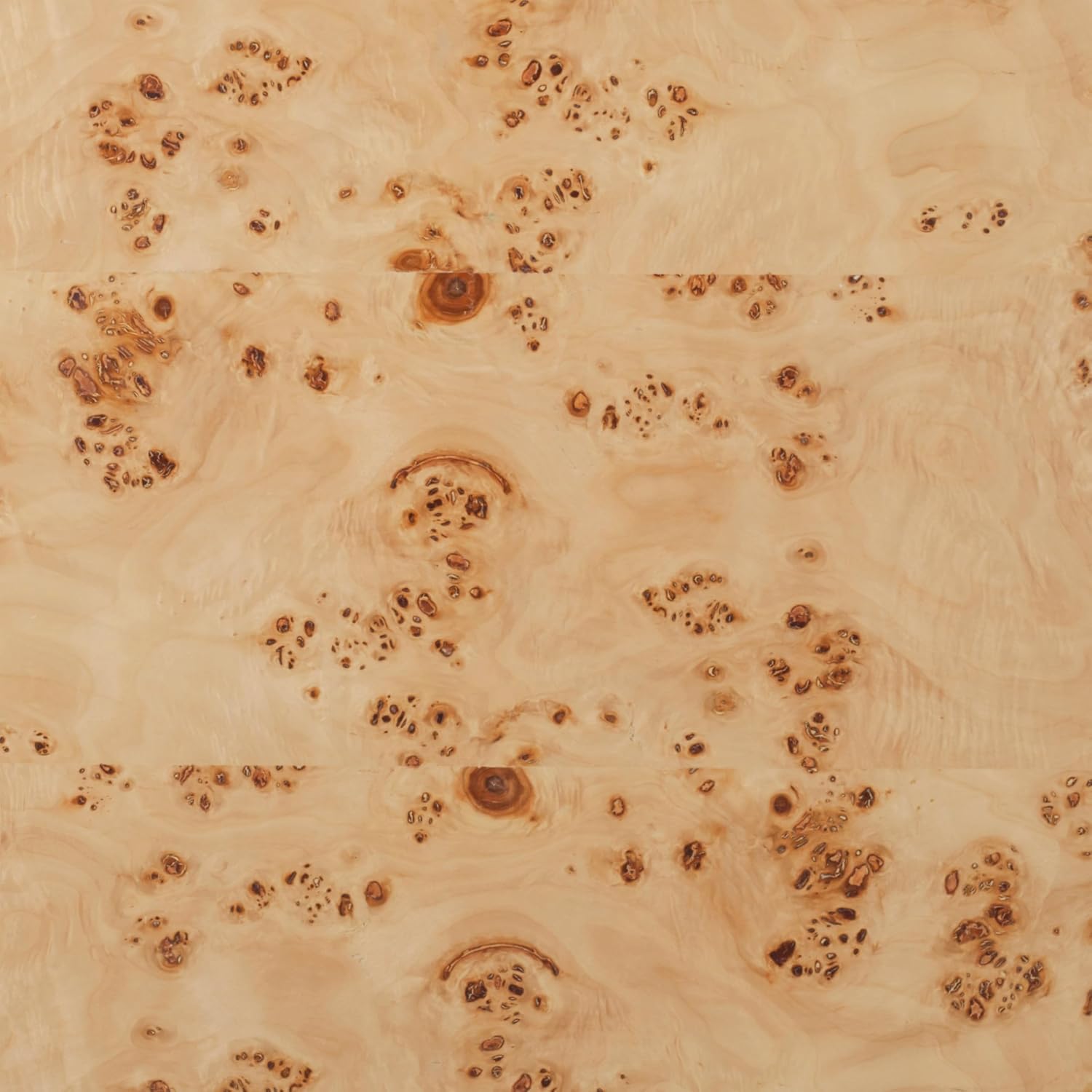 Meridian Furniture 99015Burl-CT Otto Collection Mid-Century Modern Coffee Table with Ash Burl Wood Veneer, Natural Burl Finish, 52' W x 29' D x 14' H, Natural