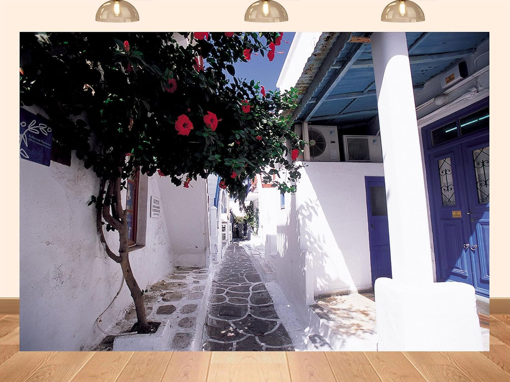 20x10ft Fabric Mykonos Greece Narrow Alley with Hibiscus Vine and Blue Doors Backdrop Artistic Floral Background for Summer Themed Party Decorations Home Wall Hanging Tapestry Photo Booth Props