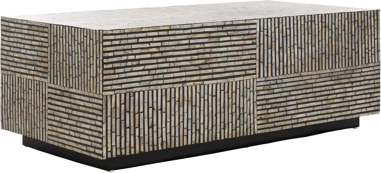 SAFAVIEH Home Collection Hamza Black Mother of Pearl Rectangular Prism Coffee Table (Fully Assembled)