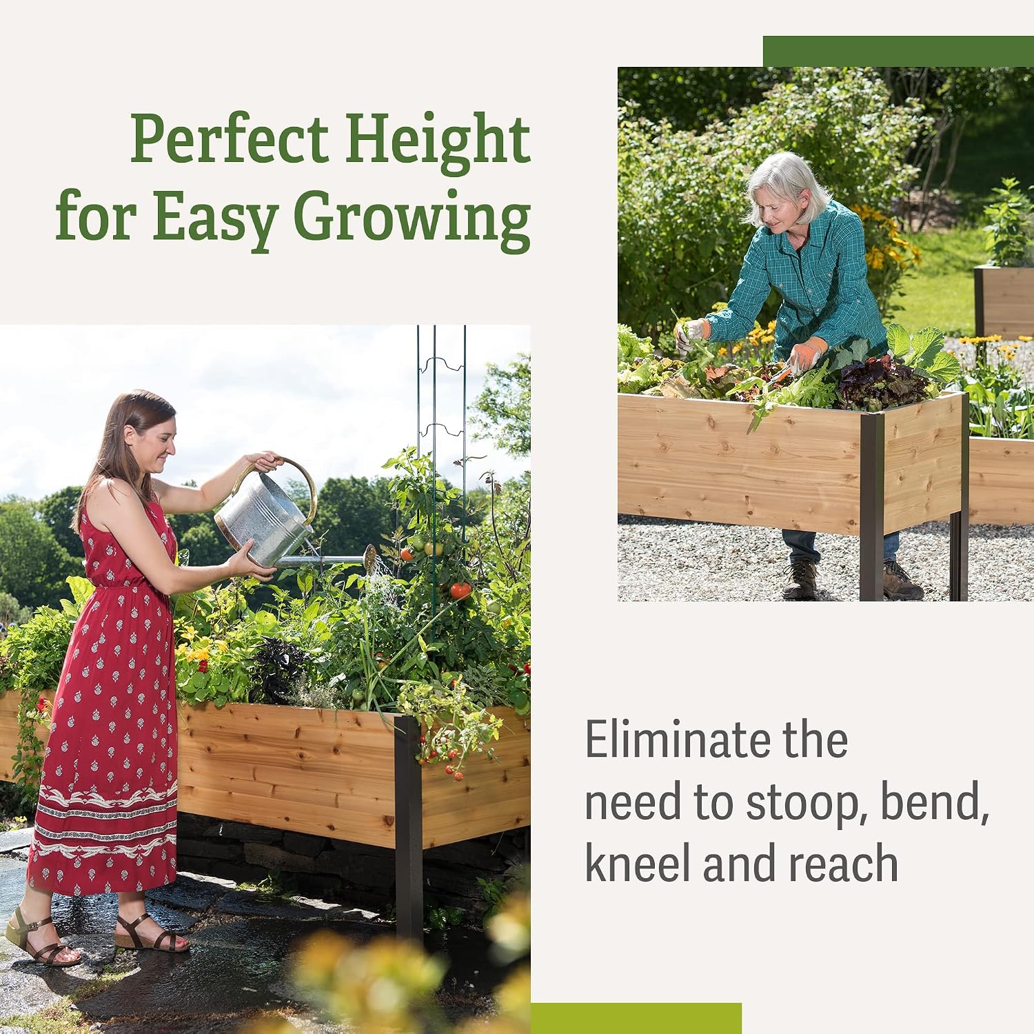 Gardener's Supply Company Elevated Cedar Raised Garden Bed | 2' x 8' Heavy Duty Standing Planter Box with Aluminum Corners for Outdoor Plants Vegetables Flowers | Perfect for Patio & Backyard