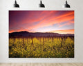 Trykid 20x10ft Vineyard Sunset Photography Backdrop Yellow Wildflowers Grapevines Orange Pink Sky Mountains for Outdoor Camping Wedding Party Decoration Tapestry Photo Studio Prop Fabric