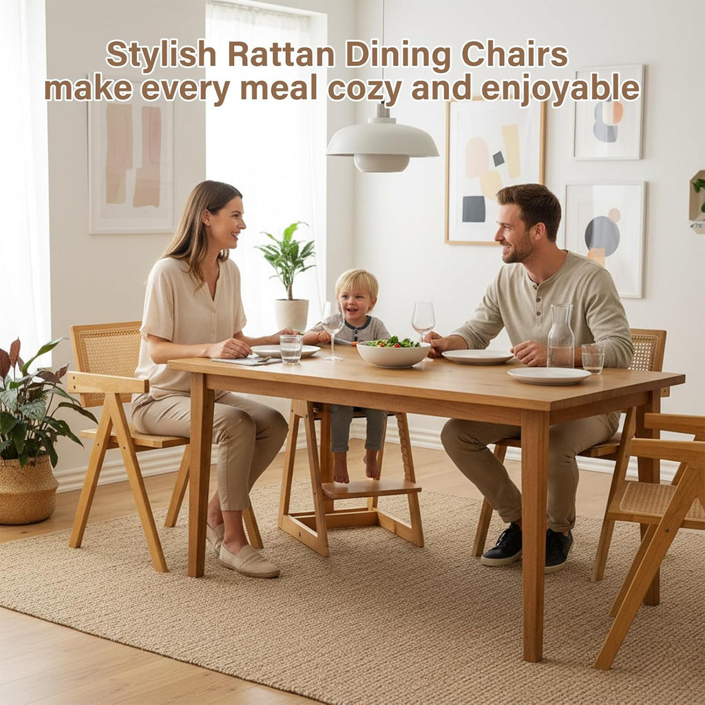 Furlide Rattan Dining Chairs Set of 2, Modern Mid Century Accent Chairs, Comfy Armchairs, Outdoor Rattan Chairs with Armrest for Bedroom Living Room Reading Room Dining Kitchen