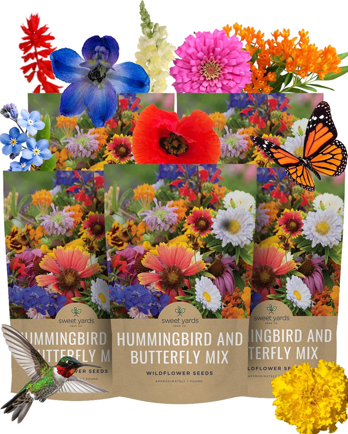 Bulk Wildflower Seeds Butterfly and Humming Bird Mix - 5 Pounds - Over 600,000 Open Pollinated Annual and Perennial Seeds
