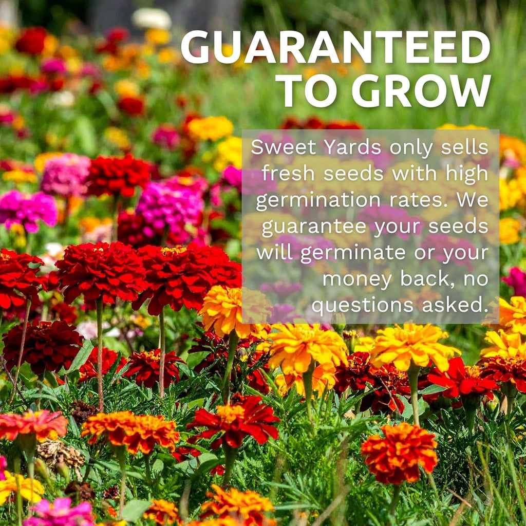 Bulk Wildflower Seeds Butterfly and Humming Bird Mix - 5 Pounds - Over 600,000 Open Pollinated Annual and Perennial Seeds