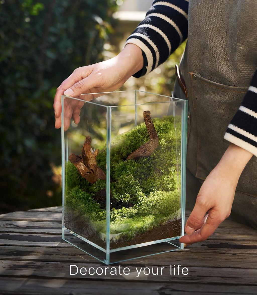 27 PCS Glass Plant Terrarium Kit with LED Grow Light– DIY Moss Terrarium Kit for Adults, Mini Garden Set for Succulent, Real Live Moss, and Air Plants – Home Office Decoration & Unique Gift fo Friend