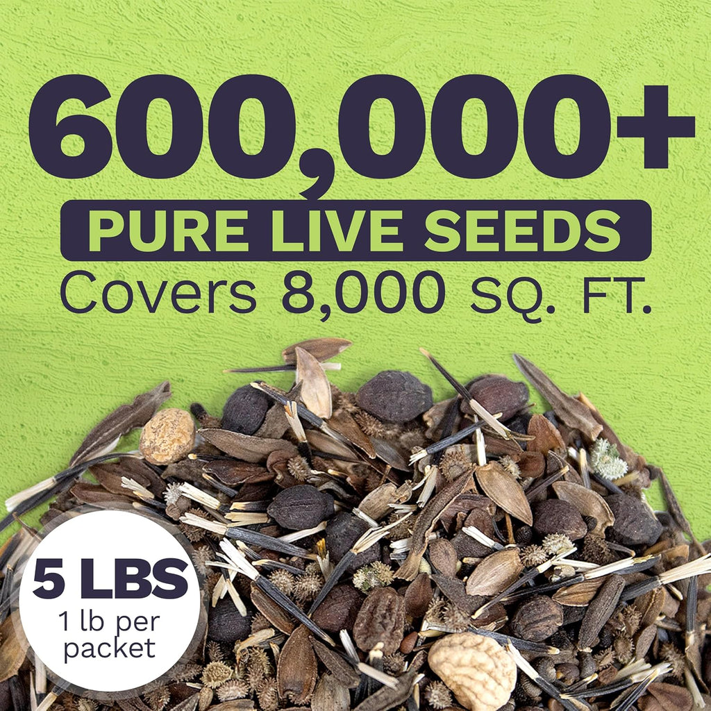 Bulk Wildflower Seeds Butterfly and Humming Bird Mix - 5 Pounds - Over 600,000 Open Pollinated Annual and Perennial Seeds