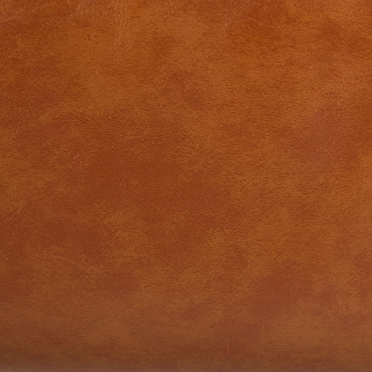 SAFAVIEH Home Collection Delfino Cognac Faux Leather/Natural Accent Chair